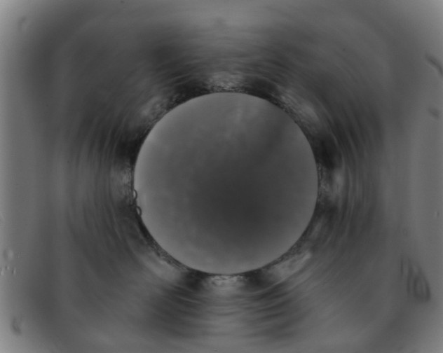 X0000091350526200708311518