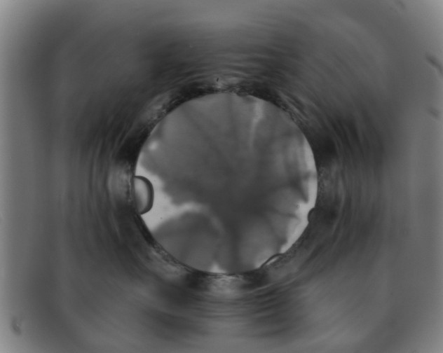 X0000091350527200708311518