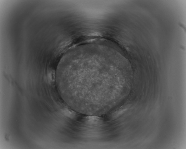 X0000091350528200708311518