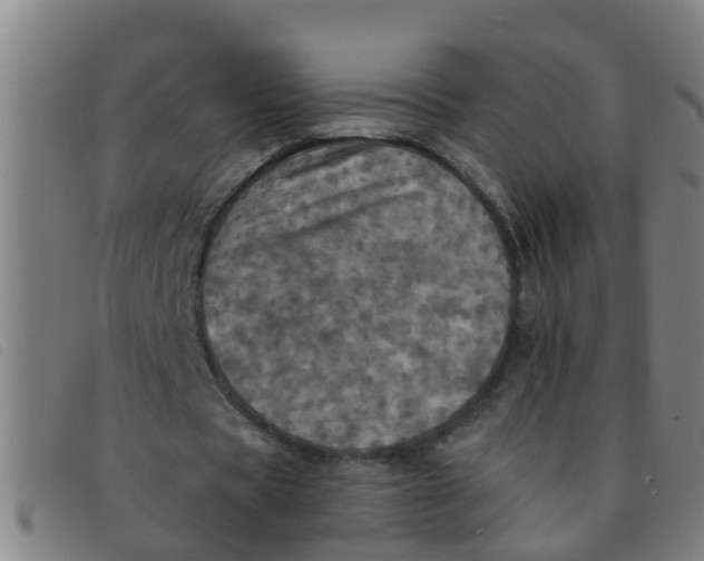X0000091350529200708311518