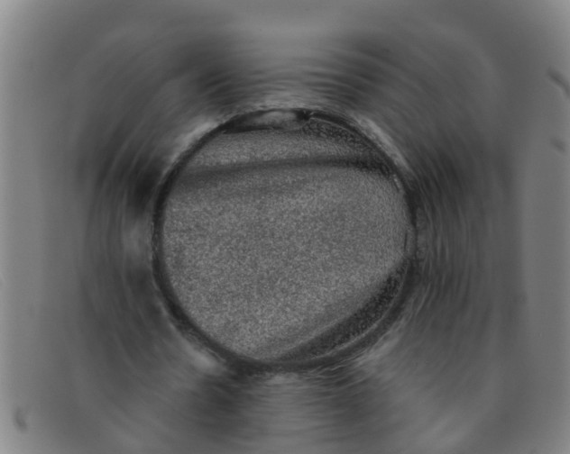 X0000091350530200708311518