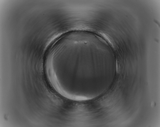 X0000091350531200708311518