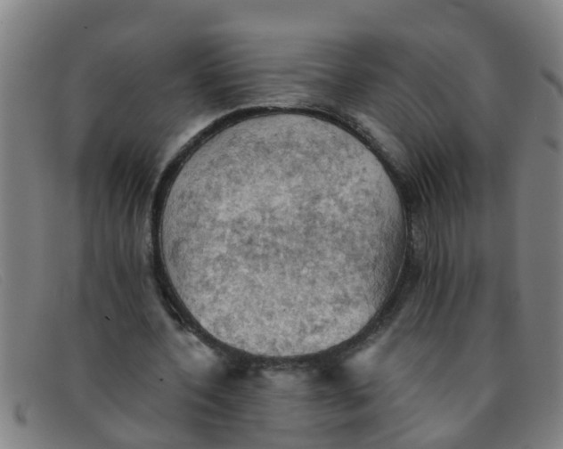 X0000091350532200708311518