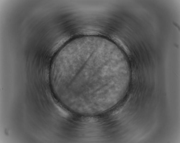 X0000091350533200708311518