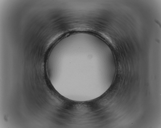 X0000091350535200708311518