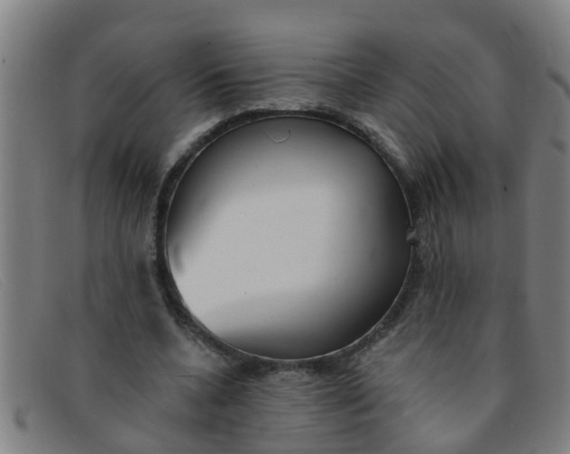 X0000091350536200708311518