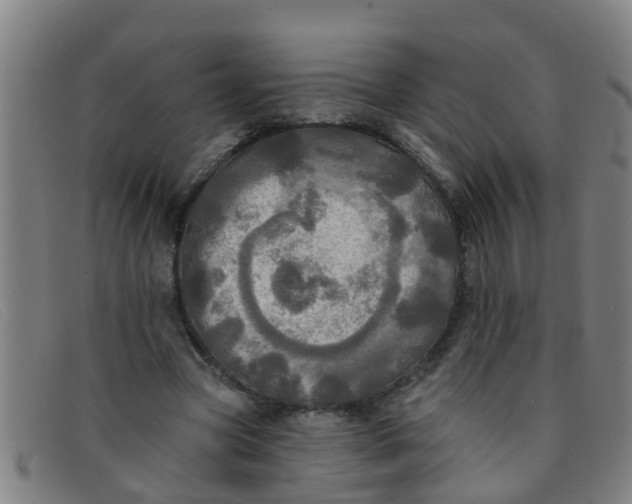 X0000091350537200708311518