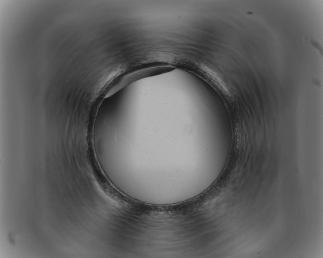 X0000091350538200708311518