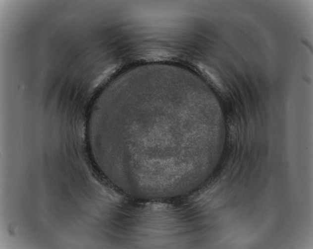 X0000091350539200708311518