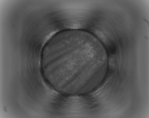 X0000091350540200708311518