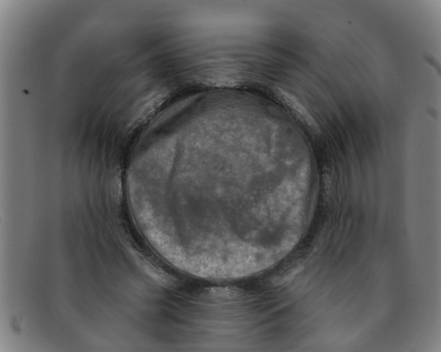 X0000091350541200708311518