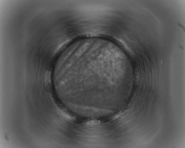 X0000091350543200708311518