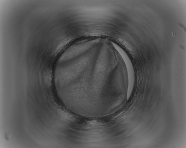 X0000091350544200708311518