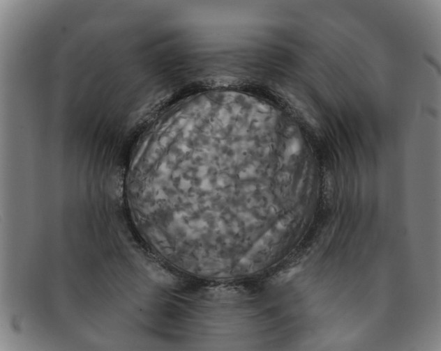 X0000091350545200708311518