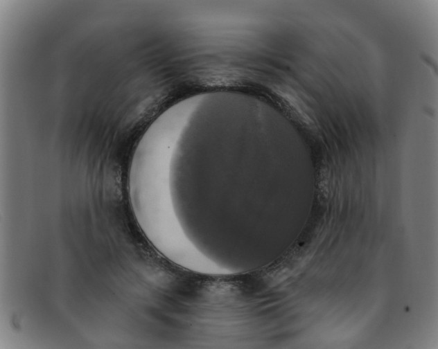 X0000091350547200708311518
