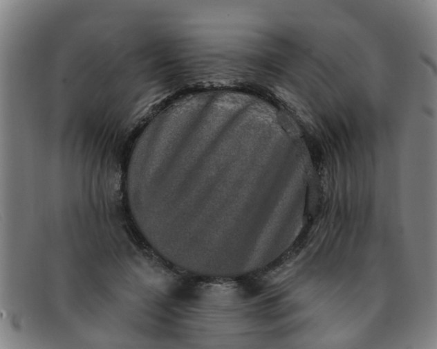 X0000091350548200708311518