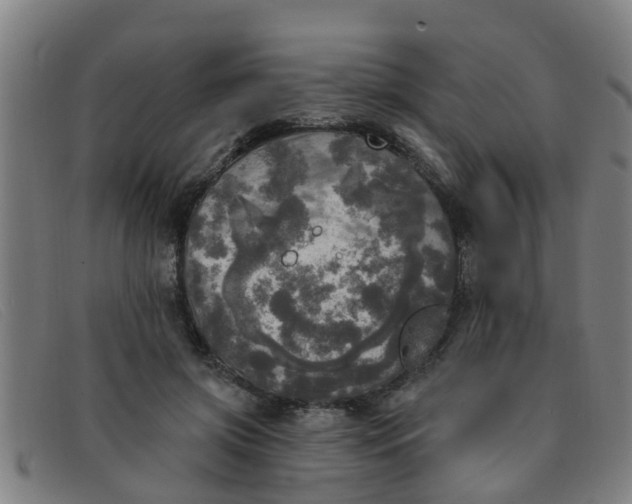 X0000091350549200708311518