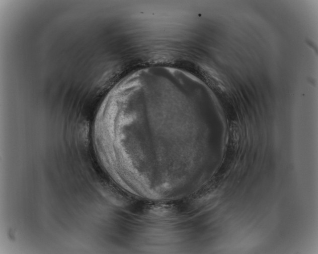 X0000091350550200708311518