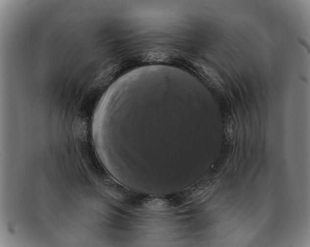 X0000091350551200708311518