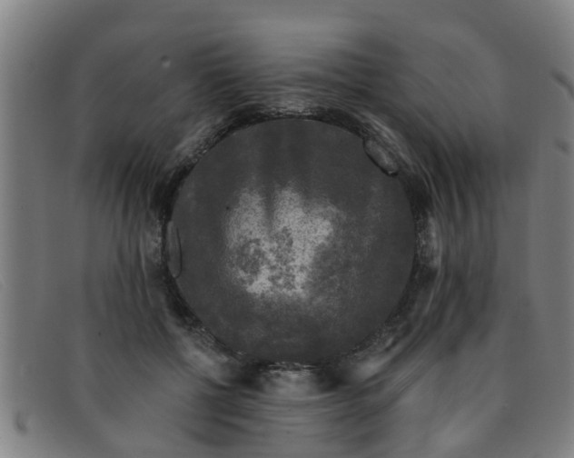 X0000091350552200708311518