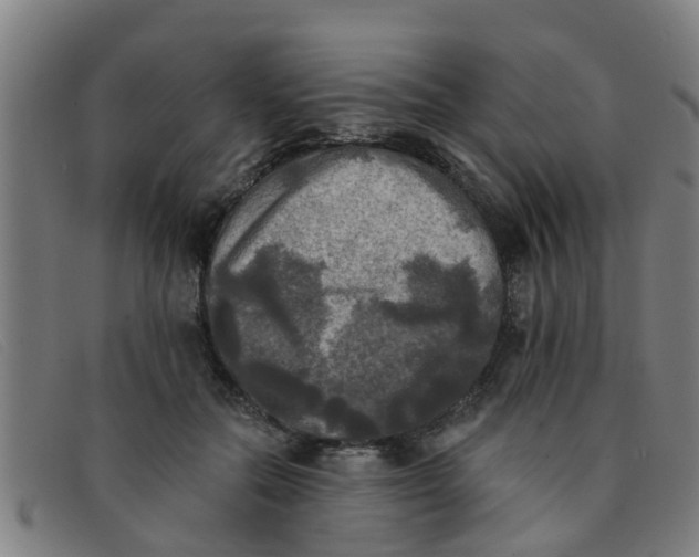 X0000091350554200708311518