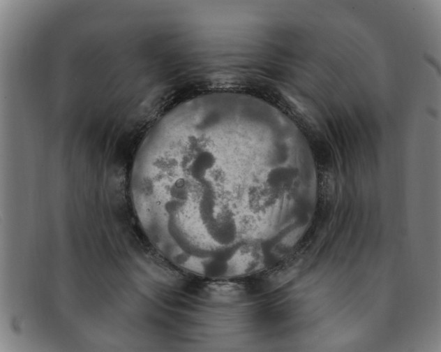 X0000091350557200708311518