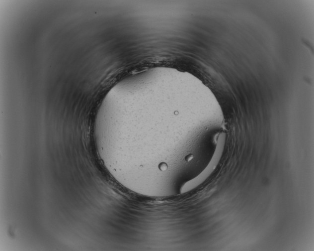 X0000091350558200708311518