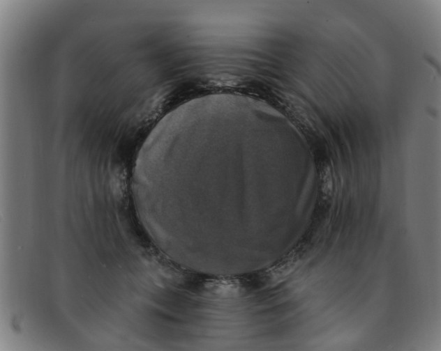 X0000091350559200708311518
