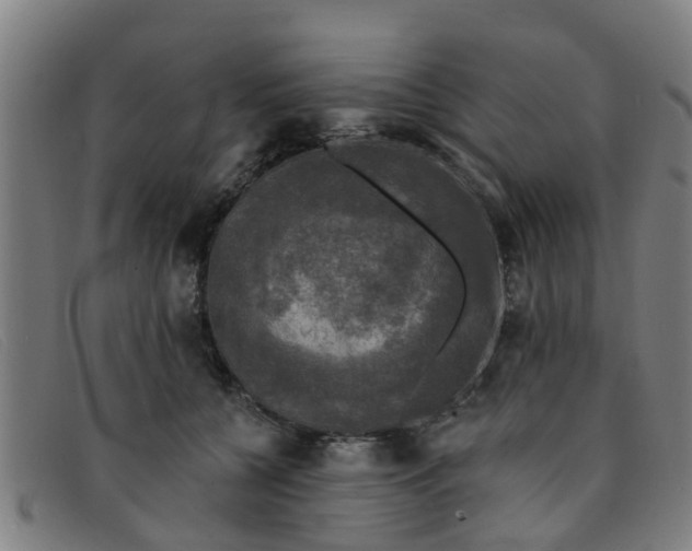 X0000091350560200708311518