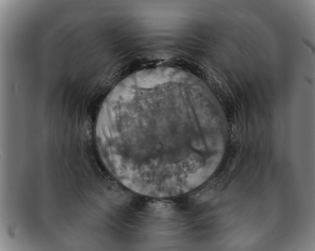 X0000091350561200708311518