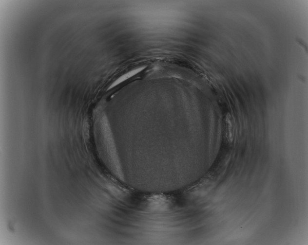 X0000091350562200708311518