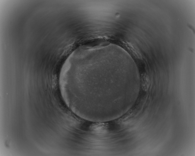 X0000091350563200708311518