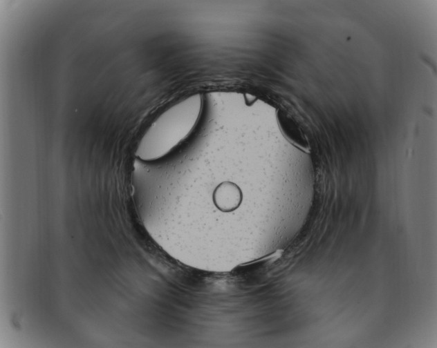 X0000091350564200708311518