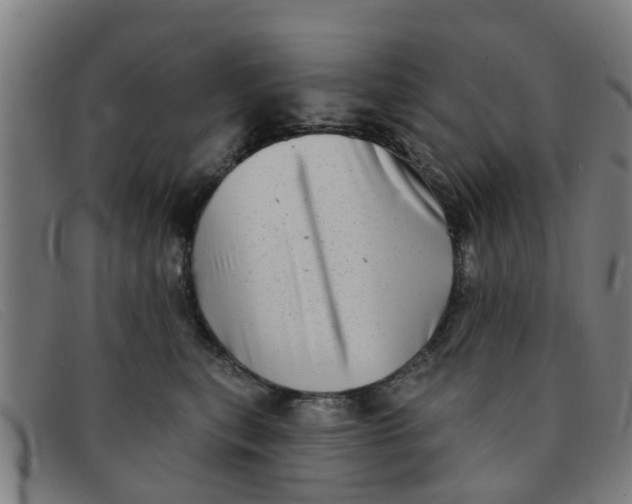 X0000091350567200708311518