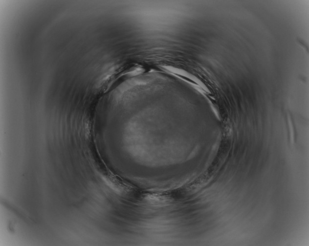 X0000091350568200708311518