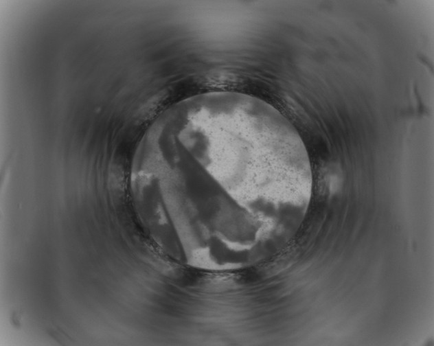 X0000091350569200708311518