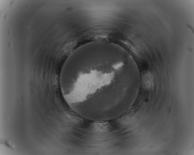 X0000091350571200708311518