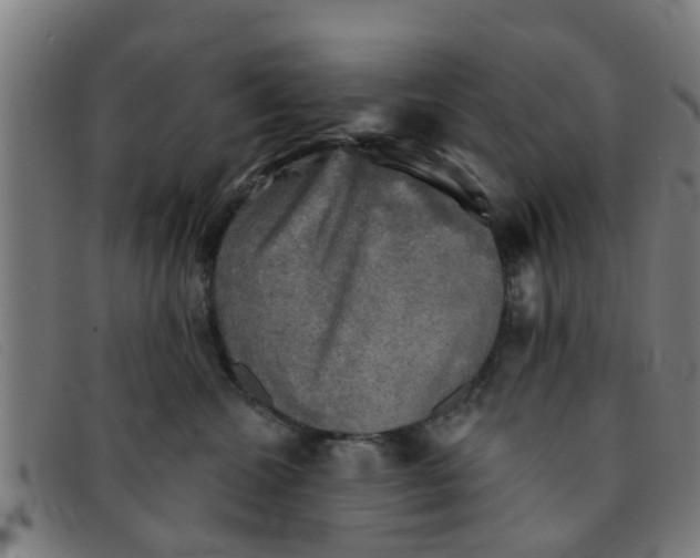 X0000091350572200708311518
