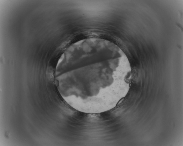 X0000091350573200708311518