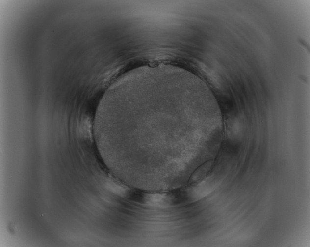 X0000091350575200708311518