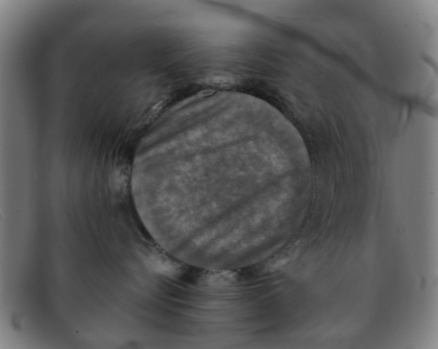 X0000091350576200708311518