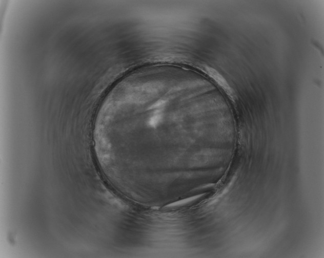 X0000091350577200708311518