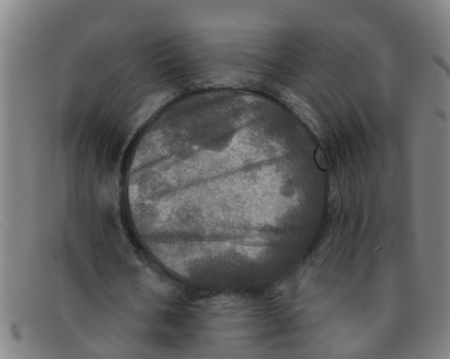 X0000091350578200708311518