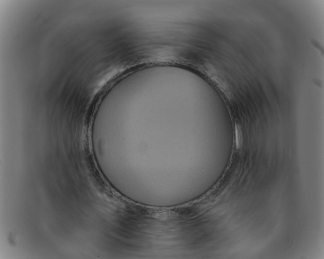 X0000091350579200708311518