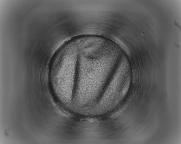 X0000091350580200708311518