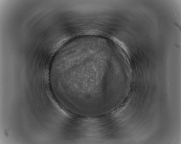 X0000091350581200708311518