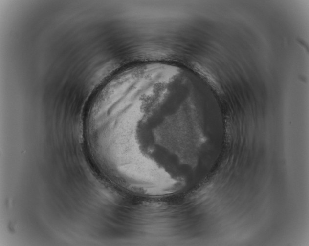 X0000091350582200708311518