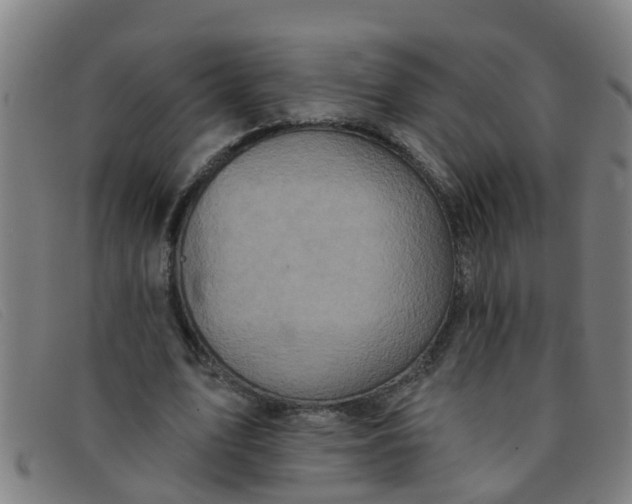 X0000091350583200708311518