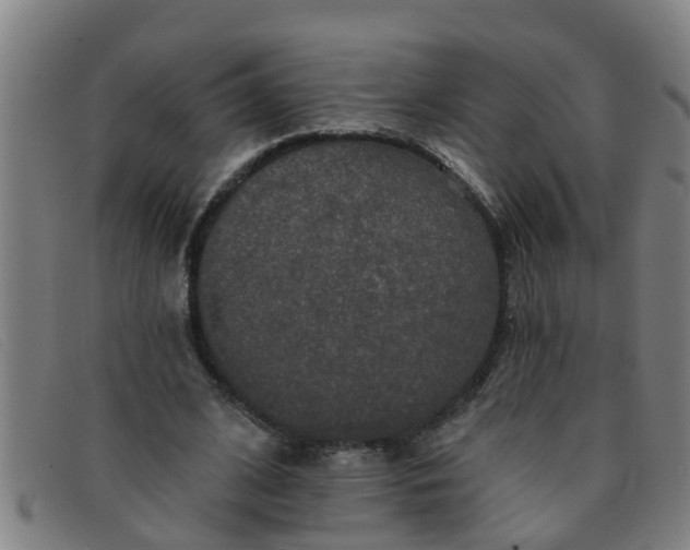 X0000091350584200708311518