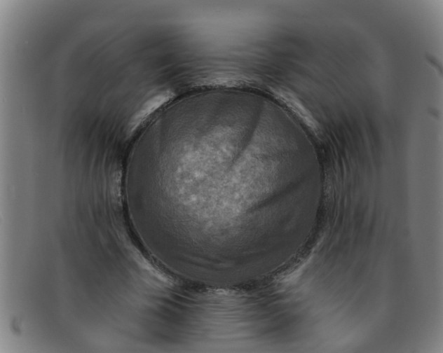 X0000091350585200708311518